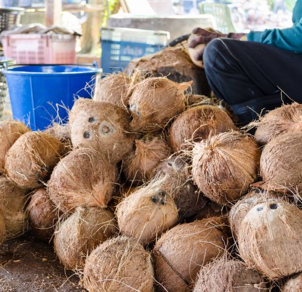 Farmer cutting coconut shell for processing agricultural products at a small factory in Thailand.